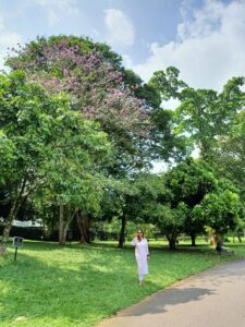3 best things to experience in Kandy, Sri Lanka –