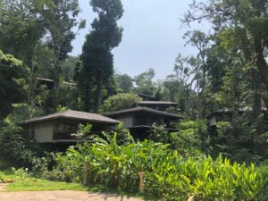 Top Homestays for an Unforgettable Experience in Coorg