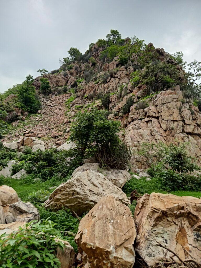 5 Reasons to Visit Ajabgarh – Rajasthan’s Hidden Gem