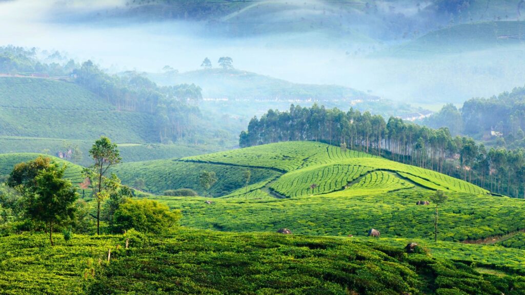 10 Best Places to Travel in Monsoons in India – Embrace the Magic of Rain